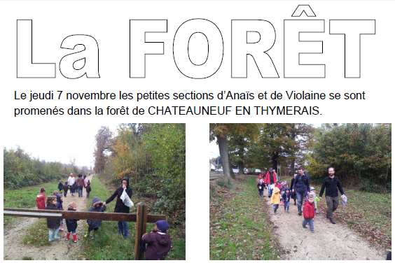 2013-11-la-foret-01